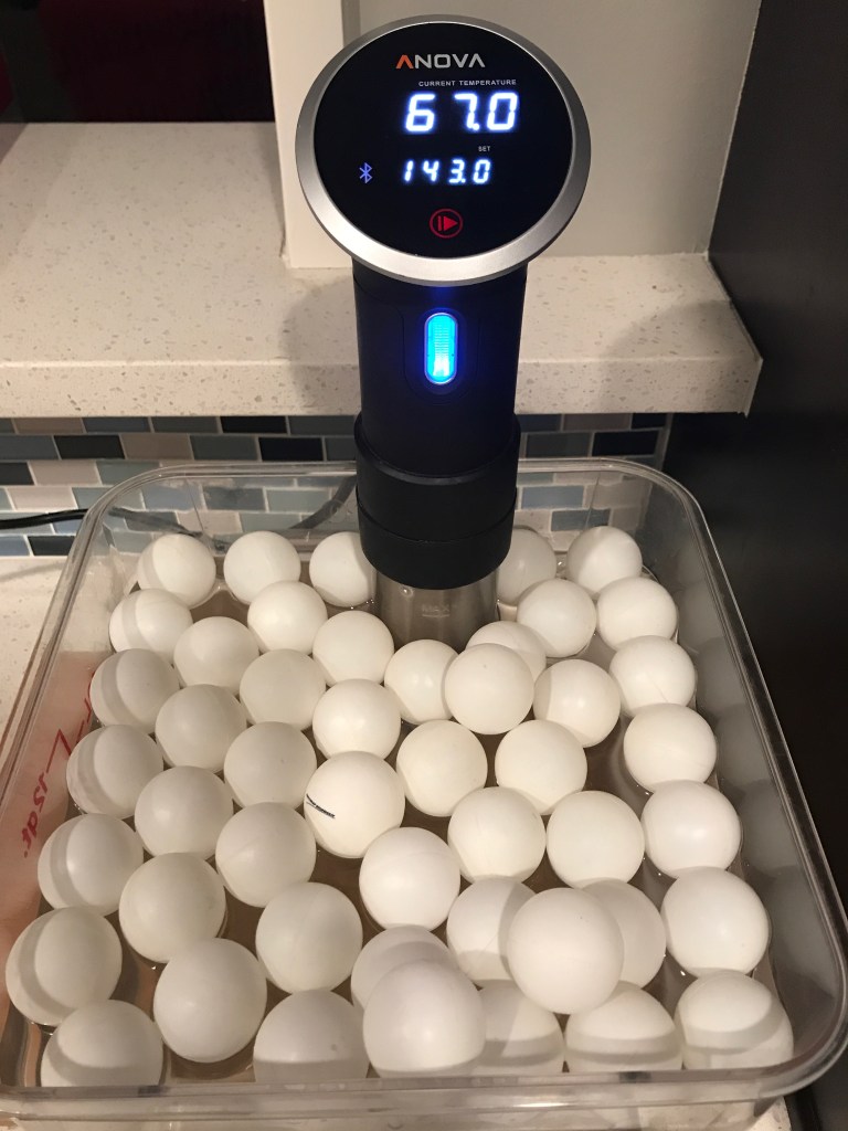 Anova's Immersion Circulator with water bath